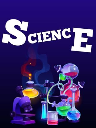 图片 Science Grade 8